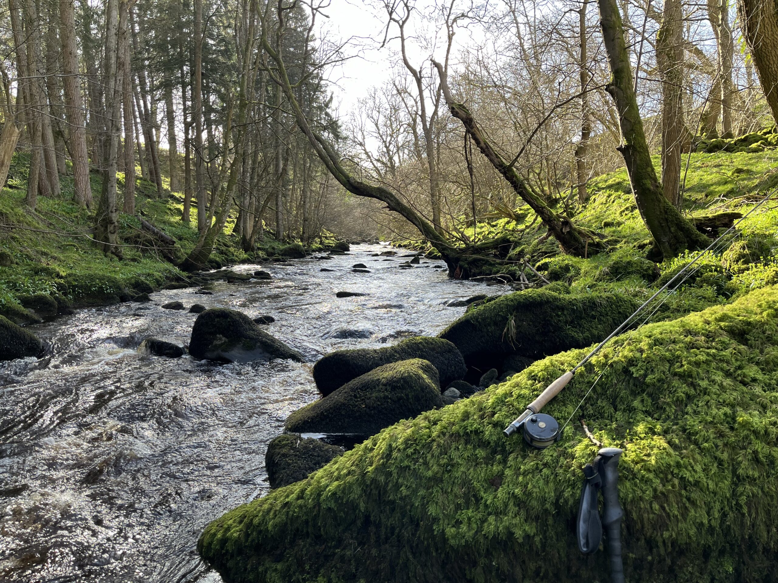 Opening Day on the River Balder